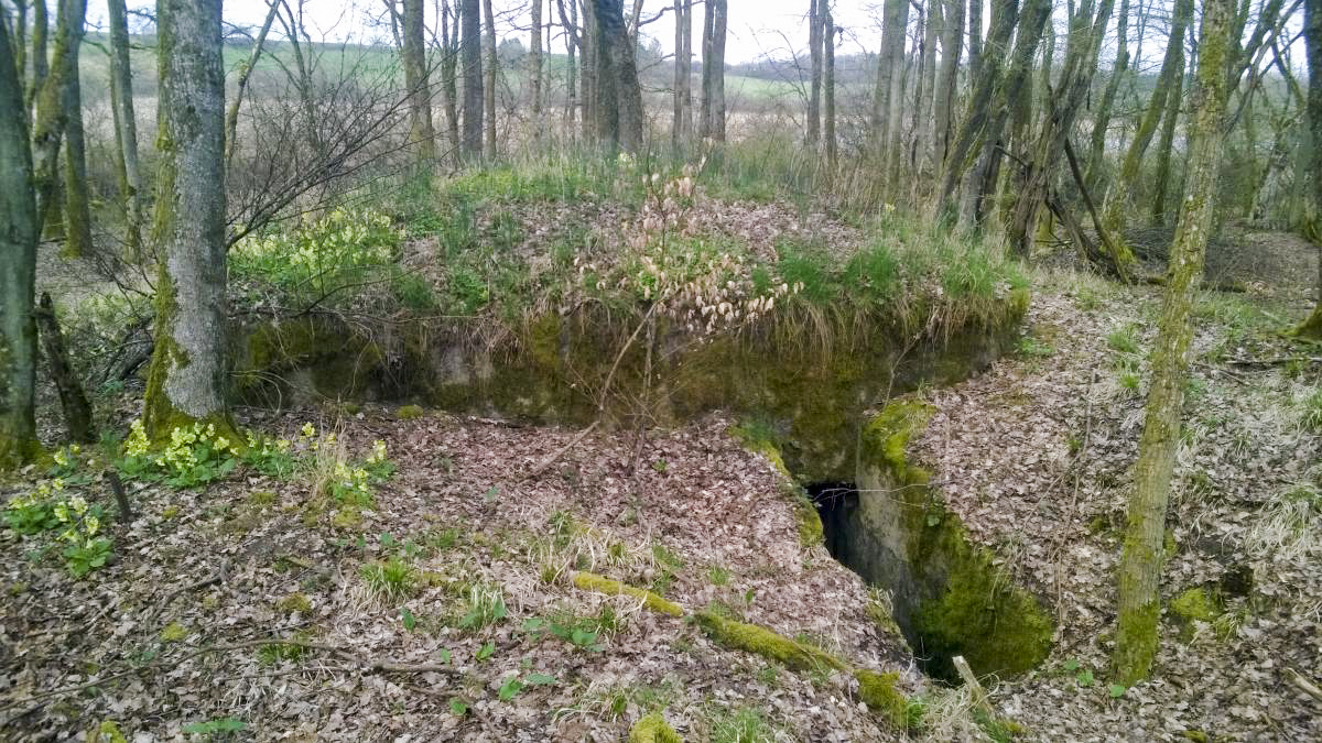 Ligne Maginot - LANGSTWALD 6 - (Blockhaus pour arme infanterie) - Cote Sud ...entree - jin jac