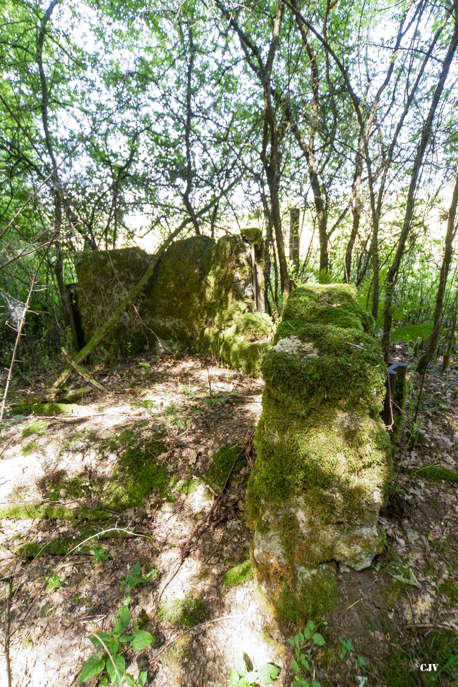 Ligne Maginot - LANGSTWALD 7 - (Blockhaus de type indeterminé) -  - Lia VERMEULEN