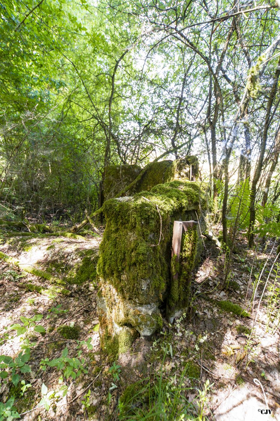 Ligne Maginot - LANGSTWALD 7 - (Blockhaus de type indeterminé) -  - Lia VERMEULEN