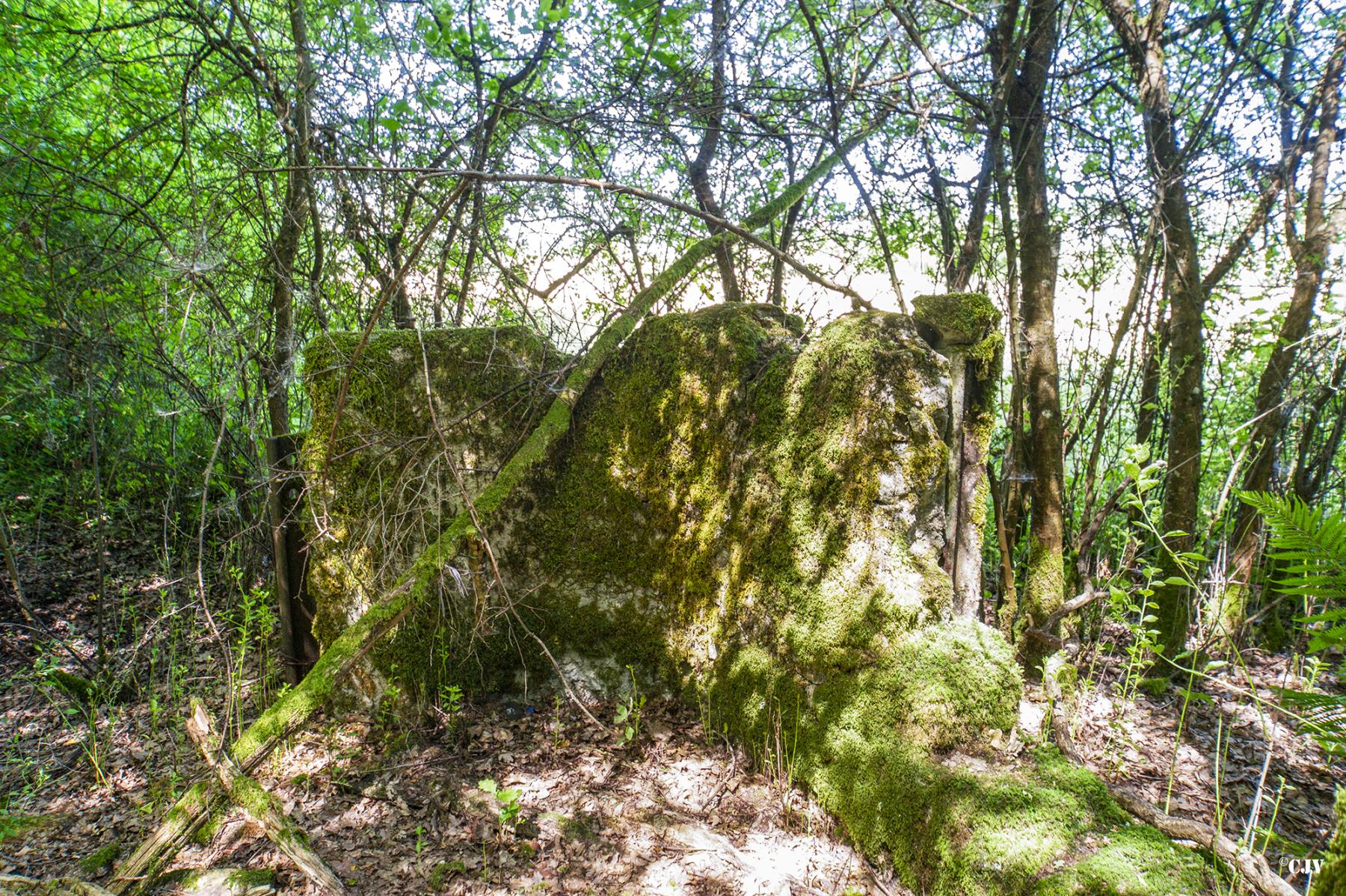 Ligne Maginot - LANGSTWALD 7 - (Blockhaus de type indeterminé) -  - Lia VERMEULEN