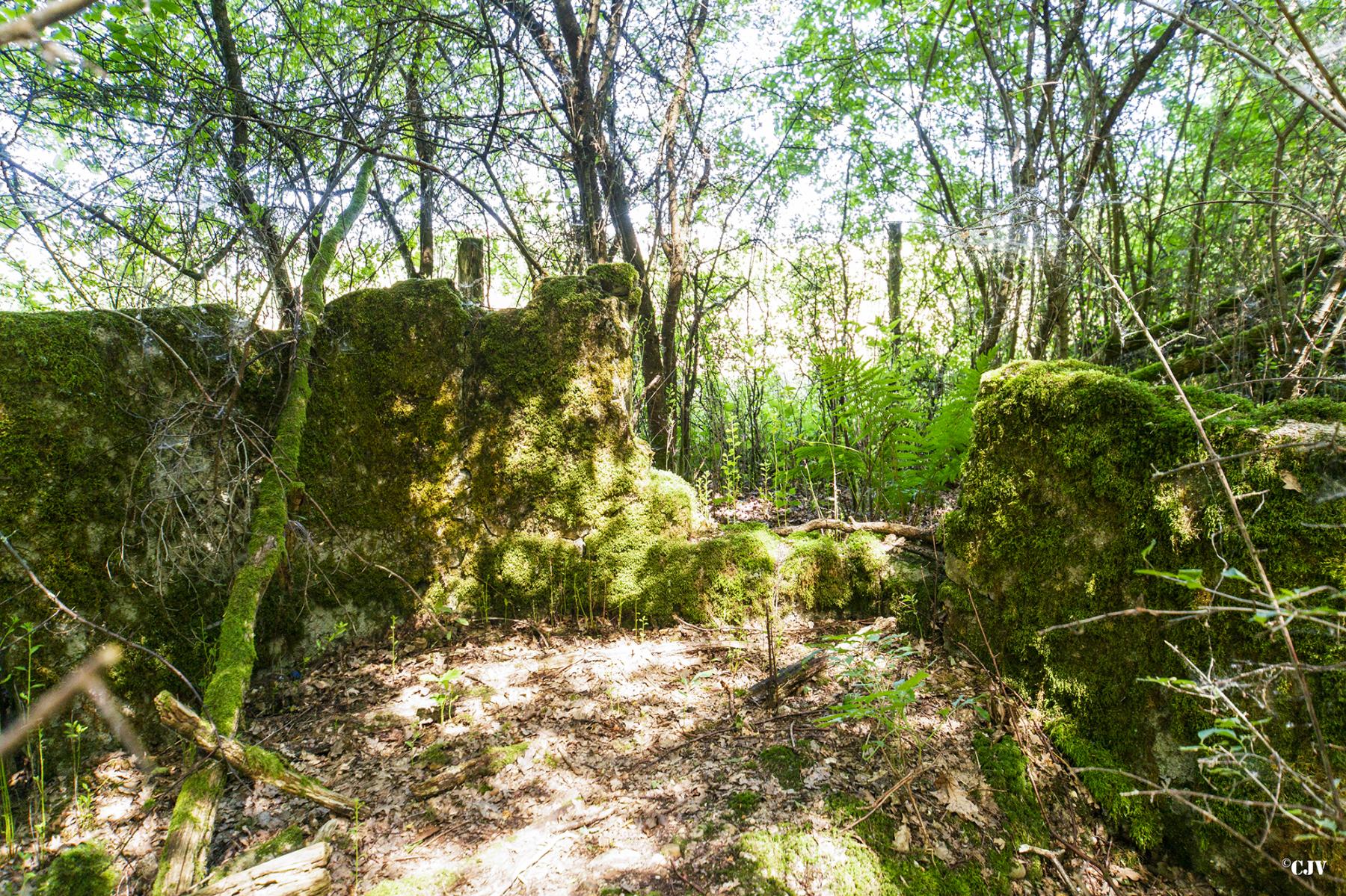 Ligne Maginot - LANGSTWALD 7 - (Blockhaus de type indeterminé) -  - Lia VERMEULEN