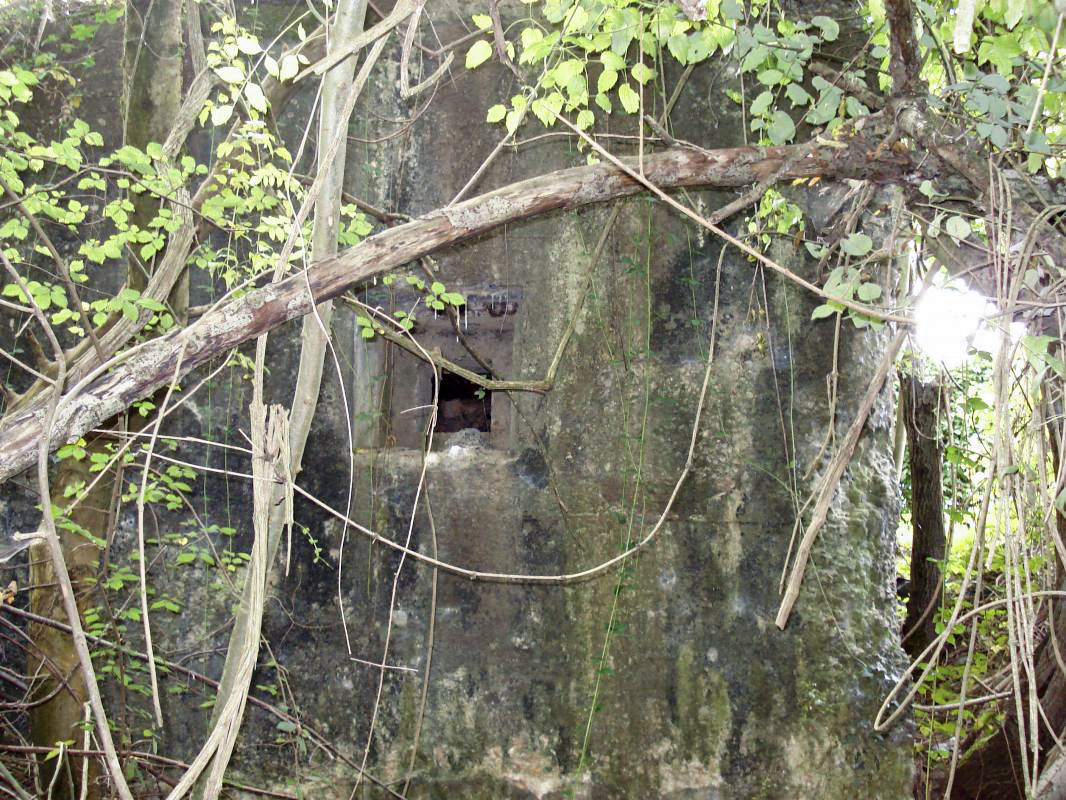 Ligne Maginot - 211 - FAUBOURG DE CASSINE - (Blockhaus pour canon) - Créneau de défense rapprochée pour FM - R Tucker
