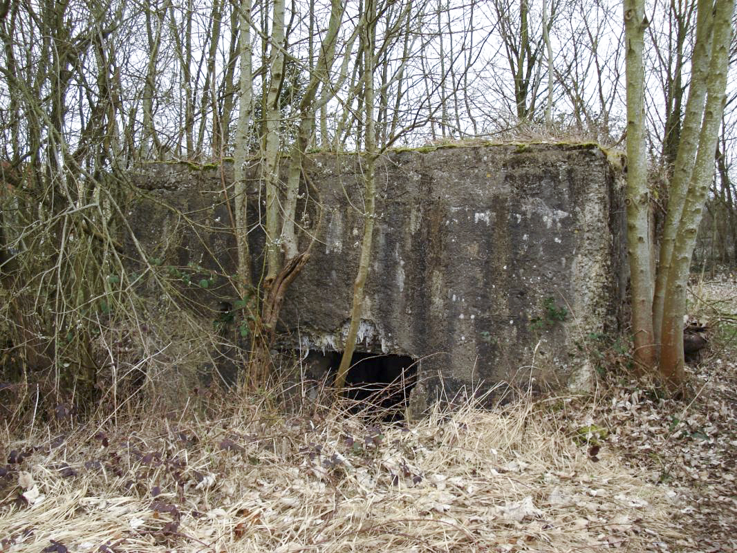 Ligne Maginot - 211 - FAUBOURG DE CASSINE - (Blockhaus pour canon) - L'entrée du blockhaus - R Tucker