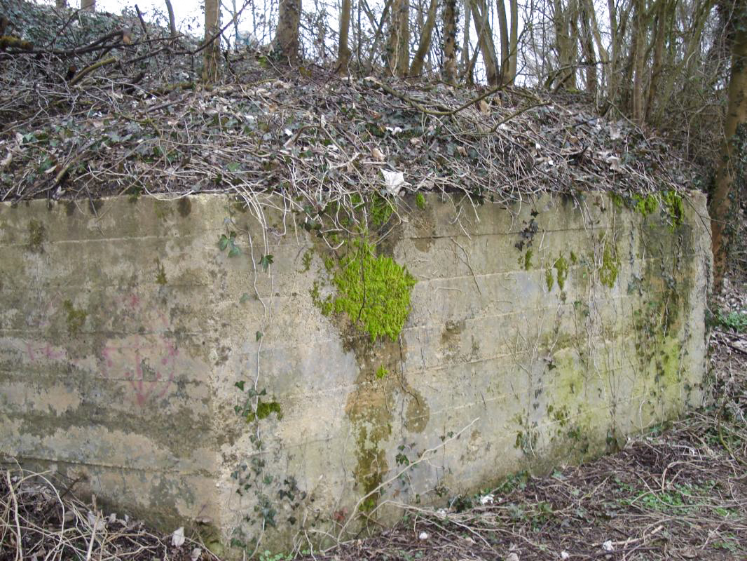 Ligne Maginot - FAUBOURG DE CASSINE 2 - (Blockhaus pour arme infanterie) -  - R Tucker