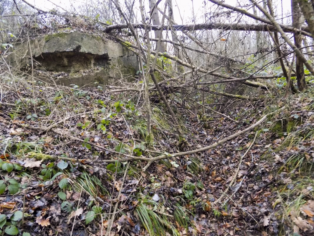 Ligne Maginot - 48BIS - BUTTE DE FRENOIS EST - (Blockhaus pour canon) - Face gauche avec une tranchée menant  vers l'entrée - R Tucker