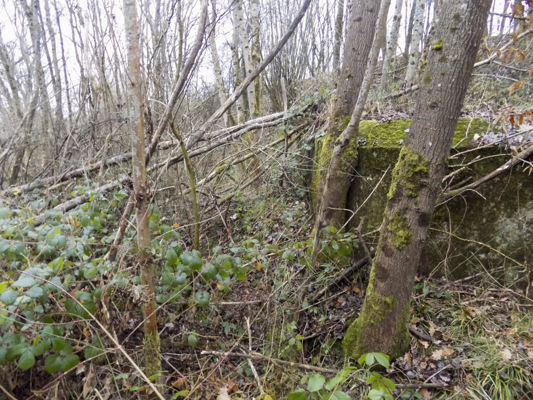 Ligne Maginot - 48BIS - BUTTE DE FRENOIS EST - (Blockhaus pour canon) - L'angle face gauche et arrière - R Tucker