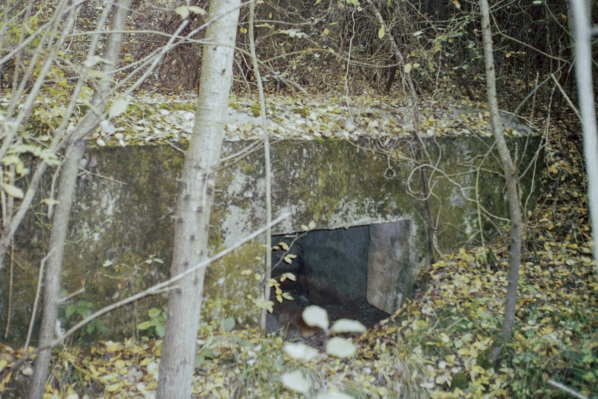 Ligne Maginot - 48BIS - BUTTE DE FRENOIS EST - (Blockhaus pour canon) - L'entrée - R Tucker