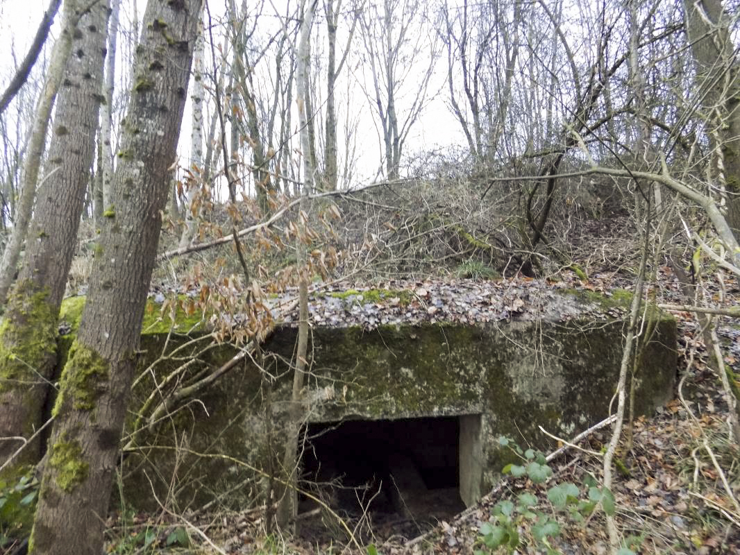 Ligne Maginot - 48BIS - BUTTE DE FRENOIS EST - (Blockhaus pour canon) - L'arrière avec l'entrée. Noter que la face frontale est maintenant enterré. - R Tucker