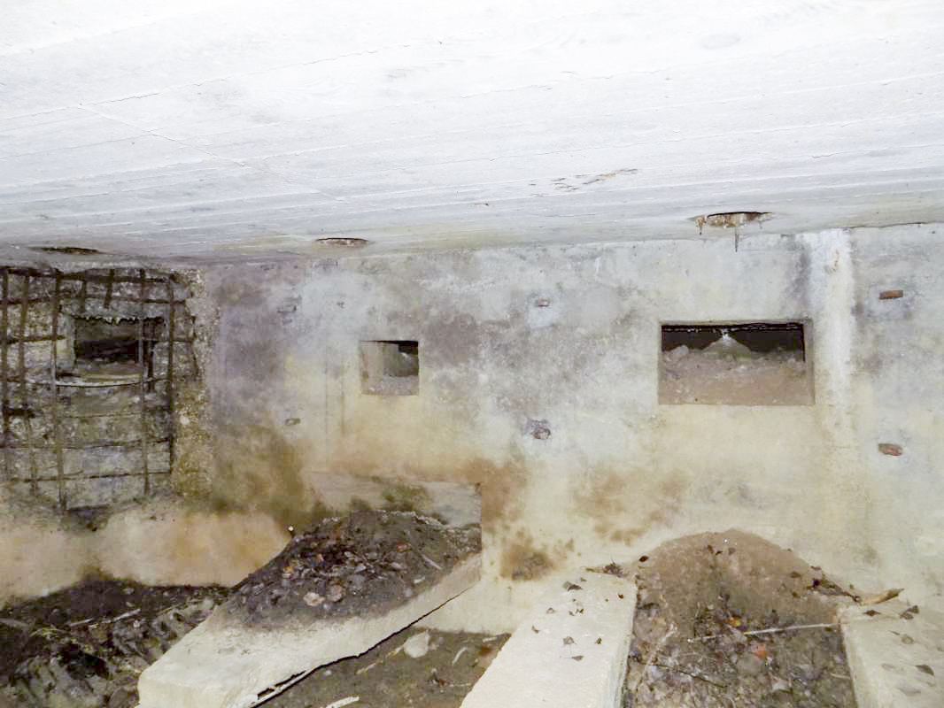 Ligne Maginot - 48BIS - BUTTE DE FRENOIS EST - (Blockhaus pour canon) - Les trois créneau FM, Hotchkiss et AC - R Tucker
