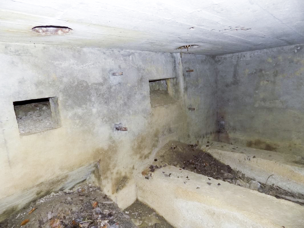 Ligne Maginot - 48BIS - BUTTE DE FRENOIS EST - (Blockhaus pour canon) - Les deux créneaux frontale, Hotchkiss et AC - R Tucker