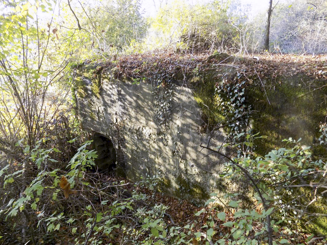 Ligne Maginot - LA BERLIERE (55° CA) - (PC de Secteur) - L'entrée sud-est - Richard Tucker