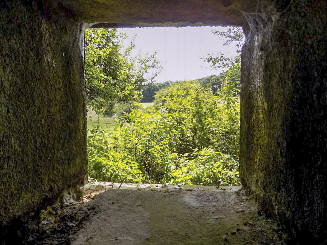 Ligne Maginot - GRAND PAQUIS - (Casemate d'artillerie) - Créneau FM, vue vers le sud-est - R Tucker