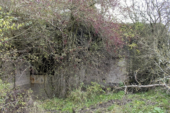 Ligne Maginot - MC30 - STG C - (Casemate d'infanterie - double) - Façade de tir ouest - Christian LENHARD