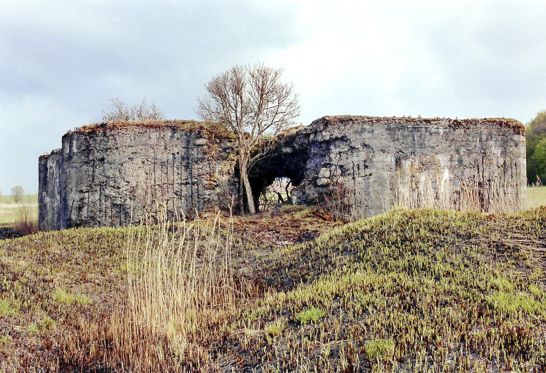 Ligne Maginot - MC29 - STG B - (Casemate d'infanterie - double) -  - Alain Perouffe