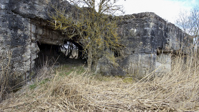 Ligne Maginot - MC29 - STG B - (Casemate d'infanterie - double) -  - Association Les Bergers des Pierres
