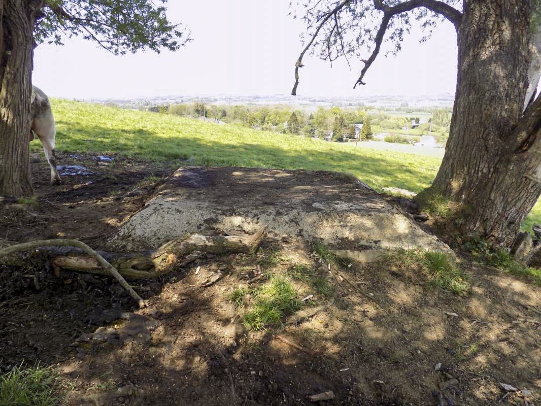Ligne Maginot - P2 - TERRE LACOUE EST - (Blockhaus pour arme infanterie) - Pris dans le direction nord-ouest vers Sedan - R Tucker
