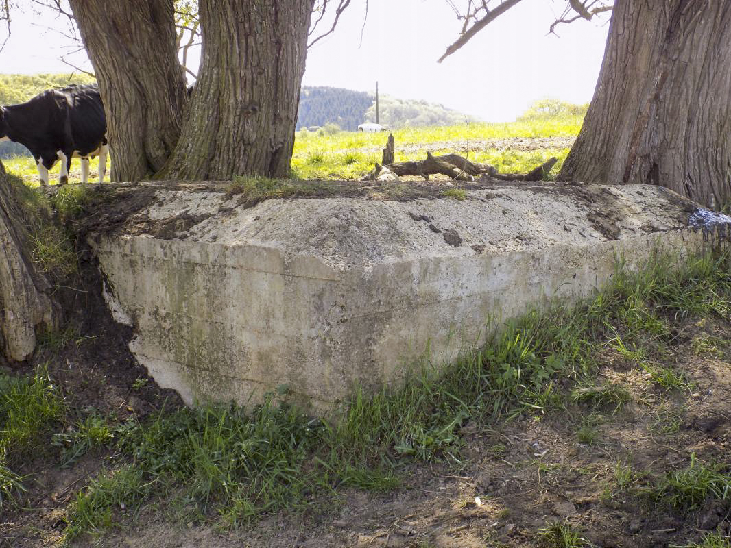 Ligne Maginot - P2 - TERRE LACOUE EST - (Blockhaus pour arme infanterie) - Le fermier a dit qu'il a détruit le bloc Bb129 Reservoir du Paquis Est en 2014... - R Tucker