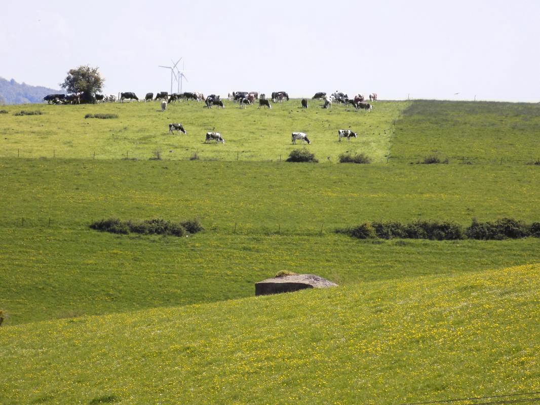 Ligne Maginot - P2 - TERRE LACOUE EST - (Blockhaus pour arme infanterie) - Vue vers le sud-est, Bb129-G - R Tucker