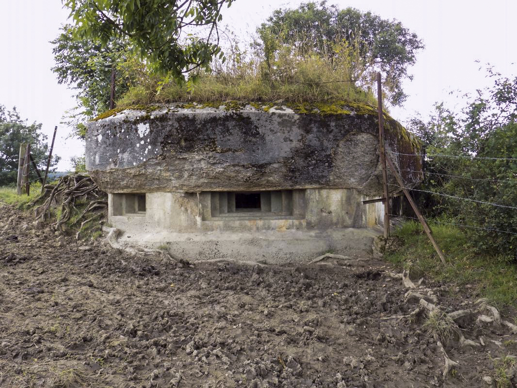 Ligne Maginot - C - OUEST DE FRENOIS - (Blockhaus pour canon) - Face droite; créneau FM/observation et créneau centrale; créneau Hotchkiss - R Tucker