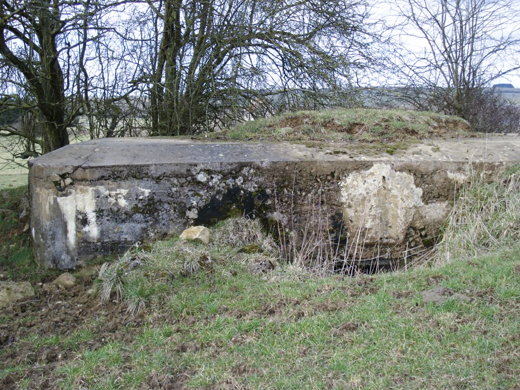 Ligne Maginot - 1 - PETIT CONDE - (Blockhaus pour arme infanterie) - L'arriére - R Tucker