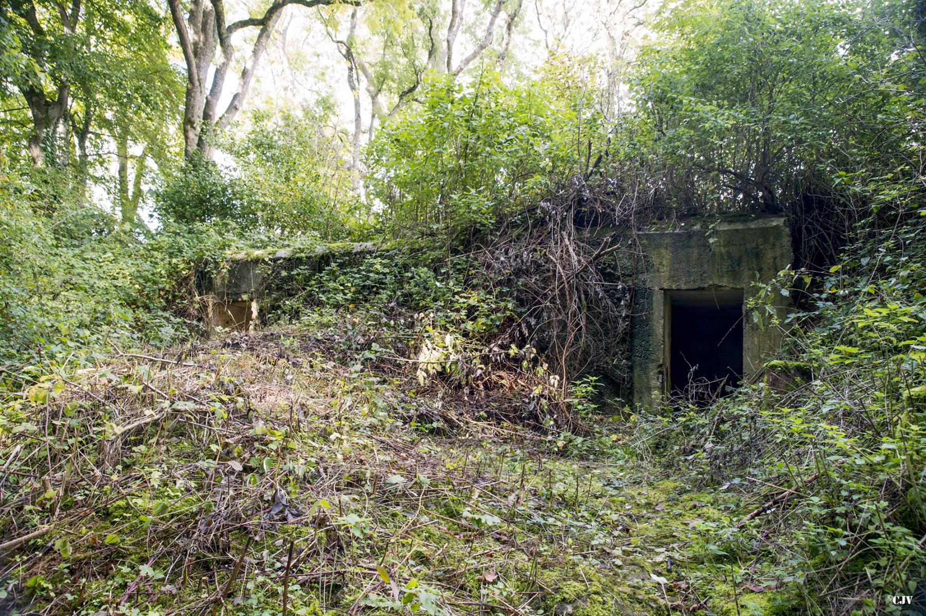 Ligne Maginot - CROIX PIOT (CM10/III/147°RIF) - (PC de Sous-Quartier) -  - Lia VERMEULEN