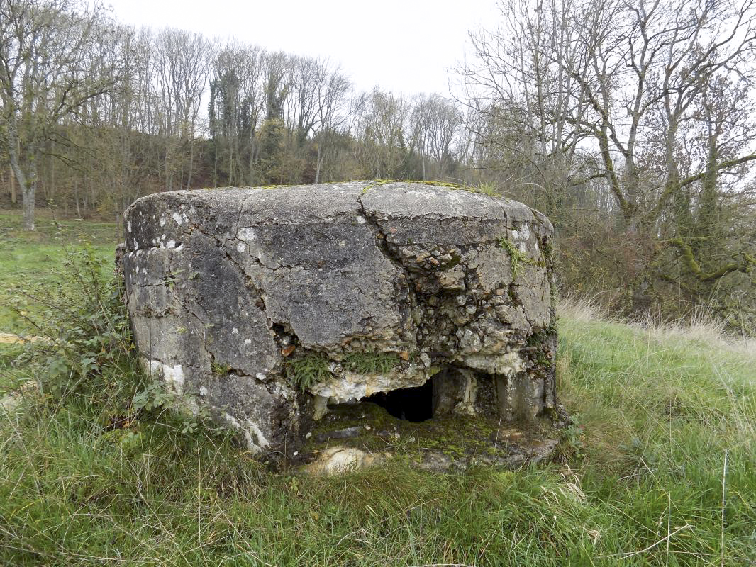 Ligne Maginot - BB91-B - SAUSSURE - (Observatoire d'infanterie) -  - R Tucker