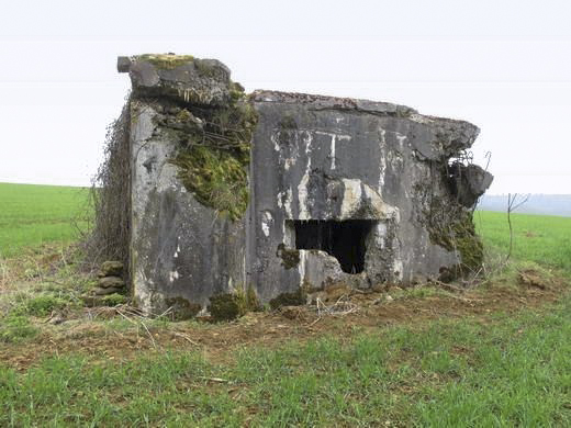 Ligne Maginot - 221 - LA VASALLEE SUD - (Blockhaus pour canon) -  - AALMA - www.lignemaginot.com