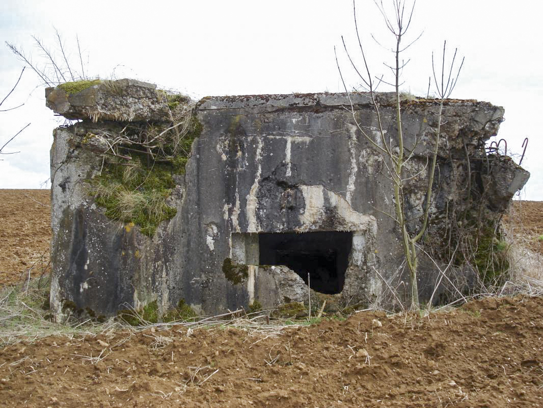 Ligne Maginot - 221 - LA VASALLEE SUD - (Blockhaus pour canon) -  - R Tucker