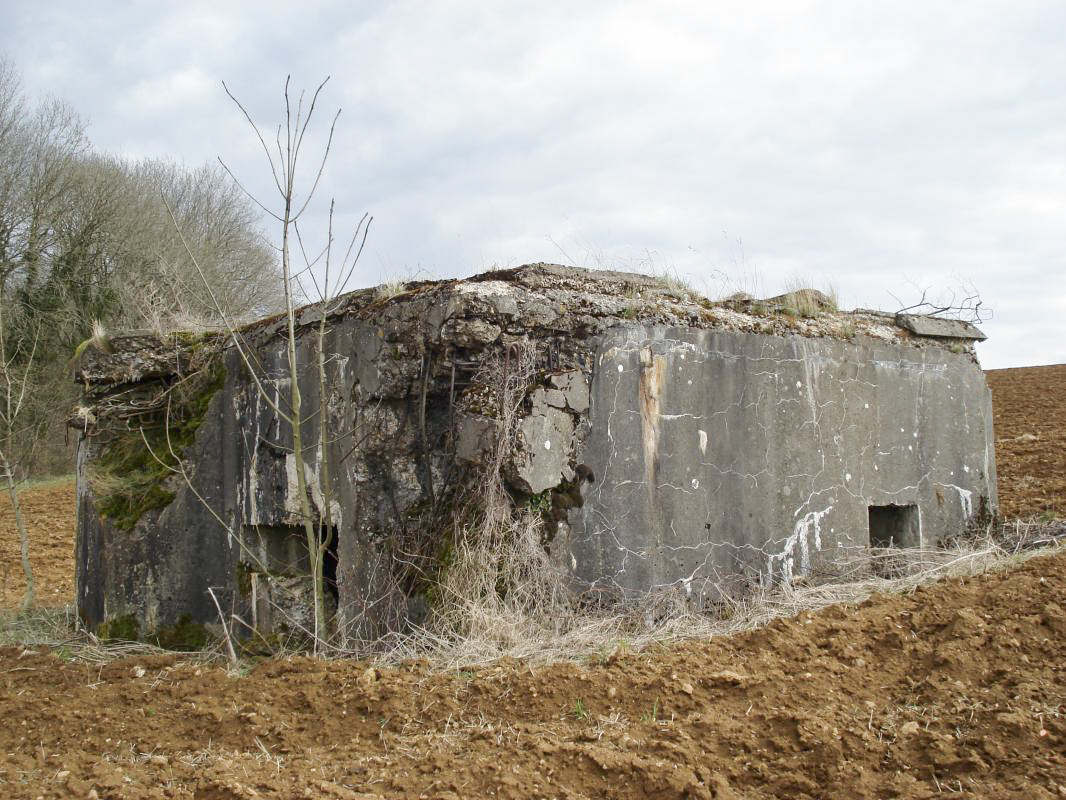 Ligne Maginot - 221 - LA VASALLEE SUD - (Blockhaus pour canon) -  - R Tucker