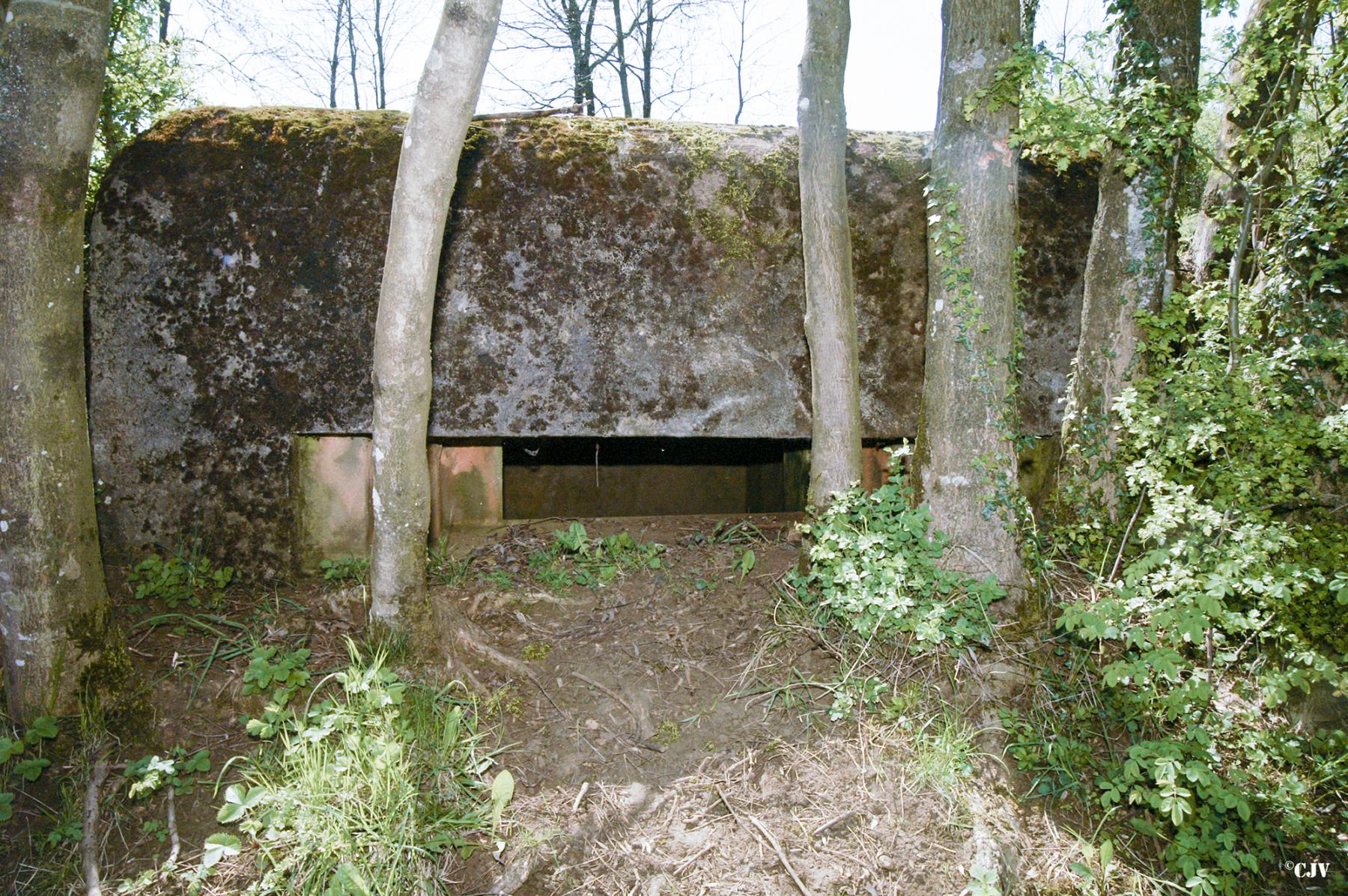 Ligne Maginot - BB118 - LES NOYERS - (Observatoire d'infanterie) -  - Caspar Vermeulen