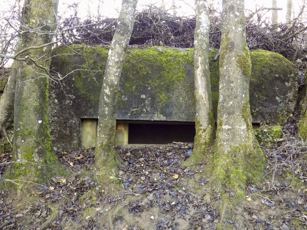Ligne Maginot - BB118 - LES NOYERS - (Observatoire d'infanterie) -  - R Tucker