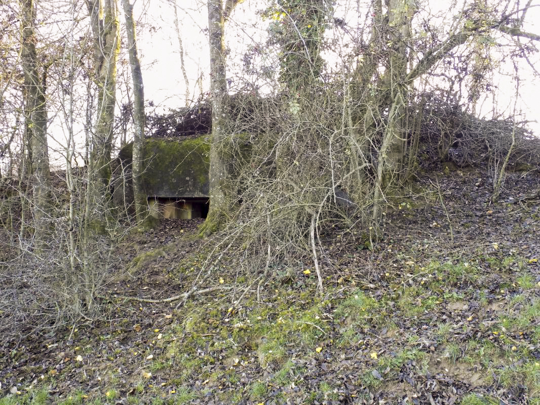 Ligne Maginot - BB118 - LES NOYERS - (Observatoire d'infanterie) -  - R Tucker