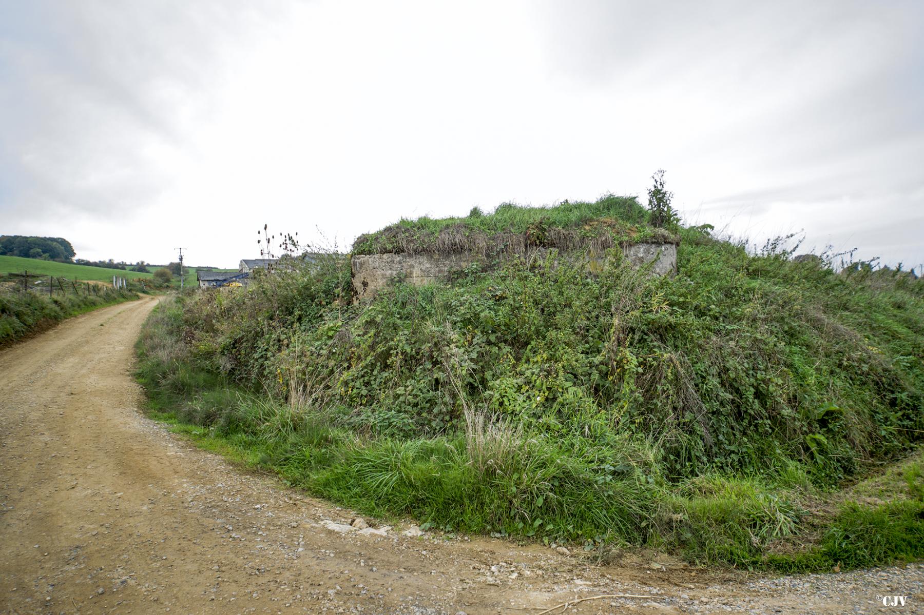 Ligne Maginot - 17 - CHEMIN DES BOSSEUSES - (Blockhaus pour arme infanterie) -  - Lia VERMEULEN