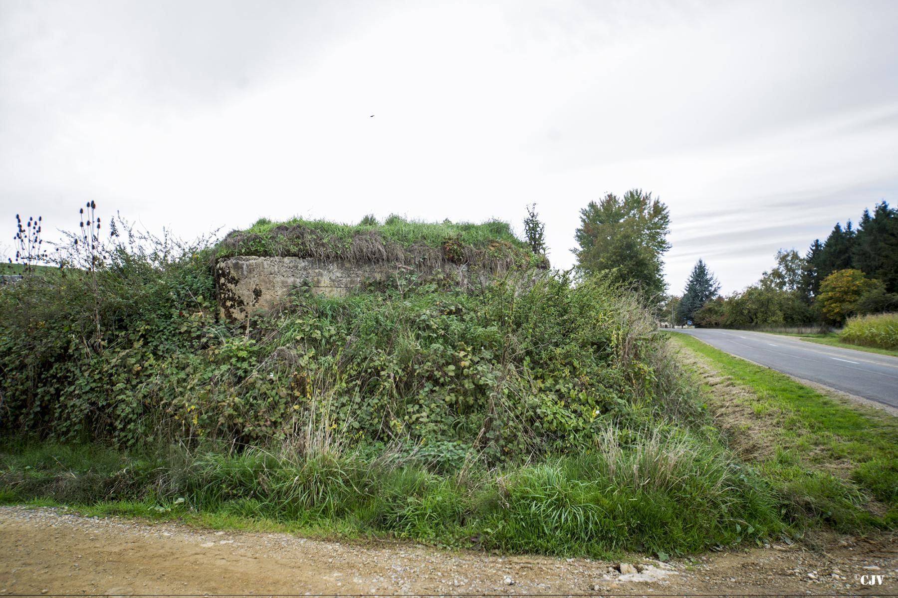 Ligne Maginot - 17 - CHEMIN DES BOSSEUSES - (Blockhaus pour arme infanterie) -  - Lia VERMEULEN
