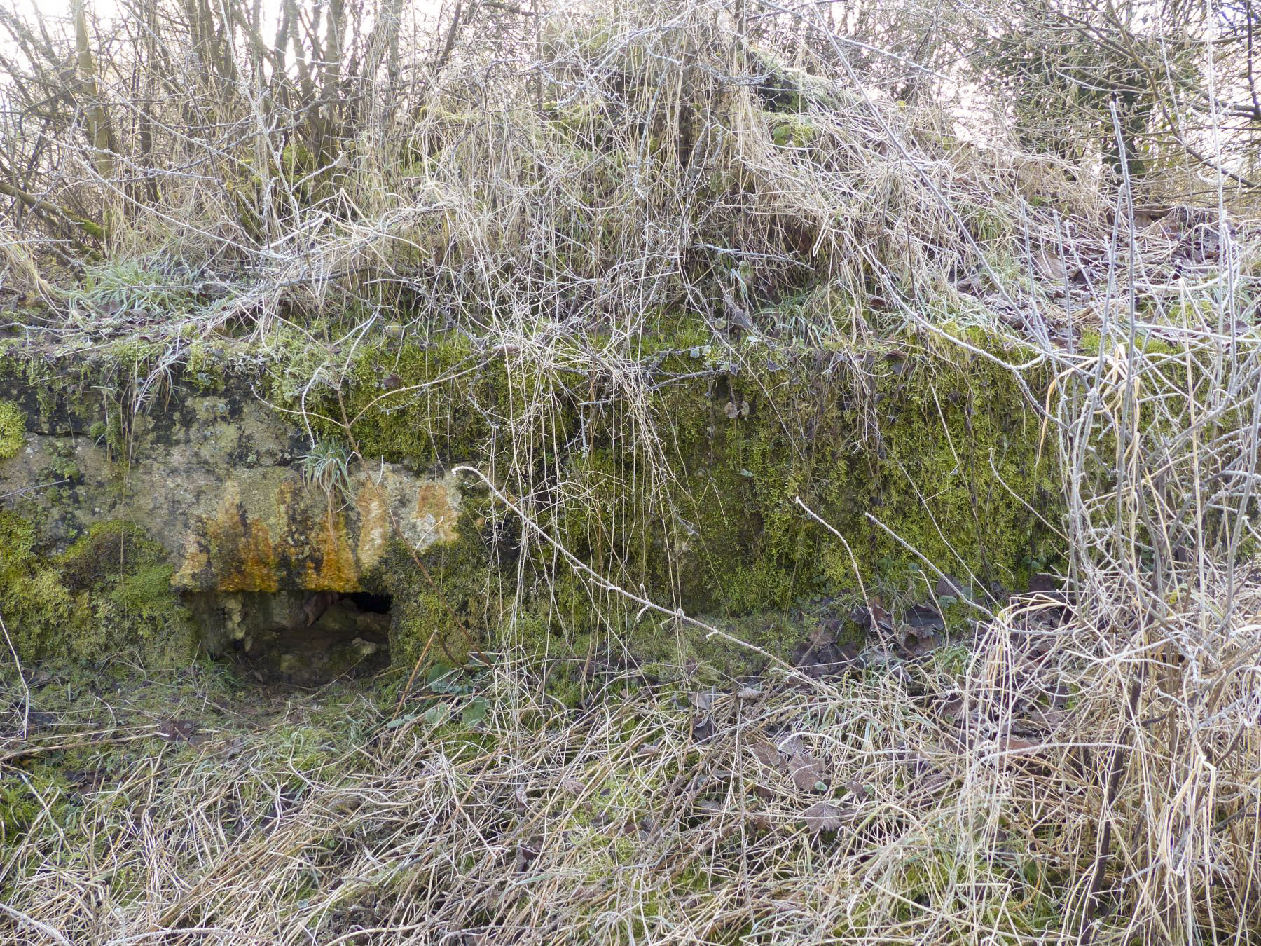Ligne Maginot - 68 - THONNELLE NORD - (Blockhaus pour arme infanterie) - Le créneau de gauche celui de droite est obstrué par de la terre. - David Harmand