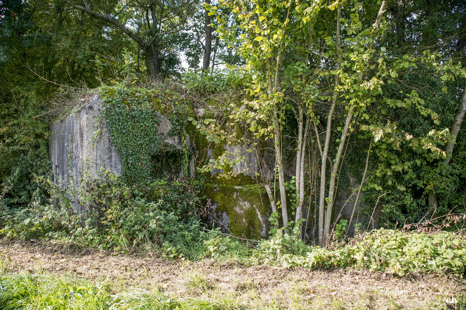 Ligne Maginot - 300 - CANAL DES ARDENNES - (Blockhaus pour arme infanterie) -  - Lia VERMEULEN