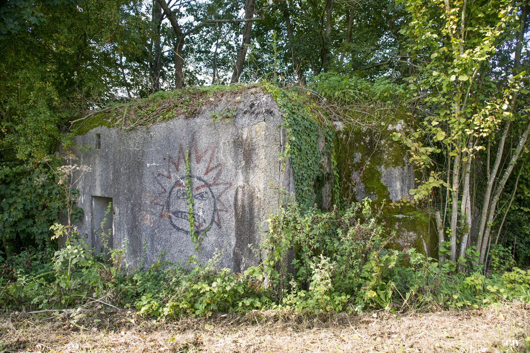Ligne Maginot - 300 - CANAL DES ARDENNES - (Blockhaus pour arme infanterie) -  - Lia VERMEULEN