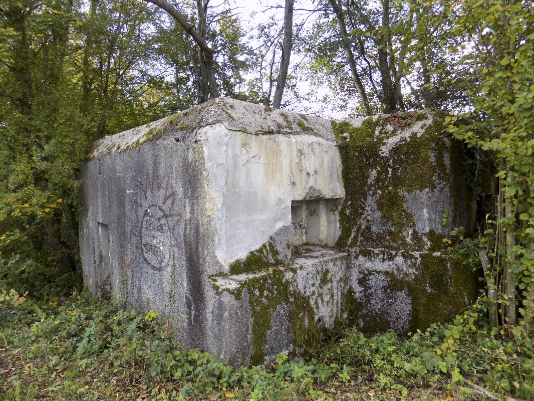 Ligne Maginot - 300 - CANAL DES ARDENNES - (Blockhaus pour arme infanterie) - L'arrière et face droite - R Tucker