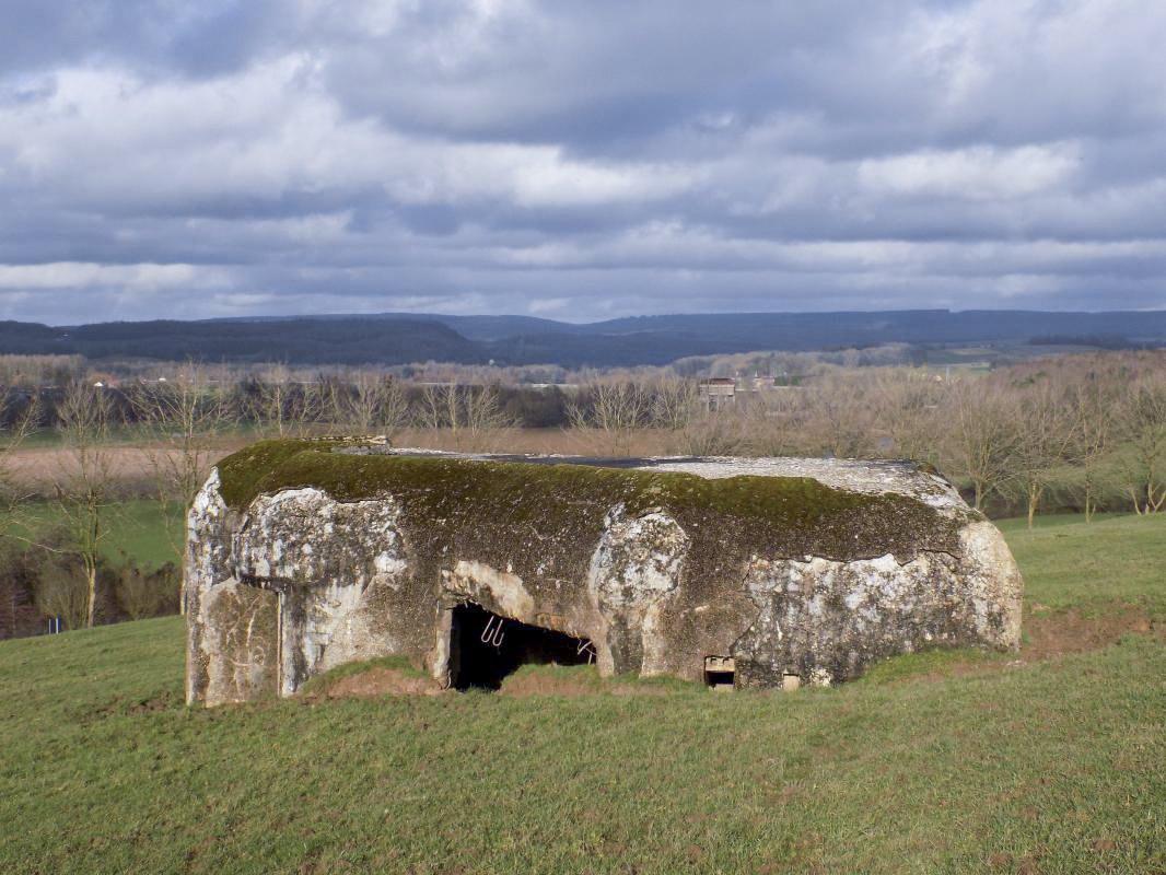Ligne Maginot - BELLEVUE - (Casemate d'artillerie) - Vue vers le nord - R Tucker