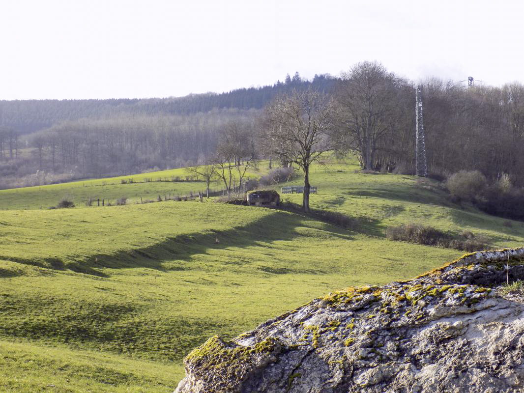Ligne Maginot - BELLEVUE - (Casemate d'artillerie) - Vue vers le sud ouest, Bb98 à l'arrière plan - R Tucker