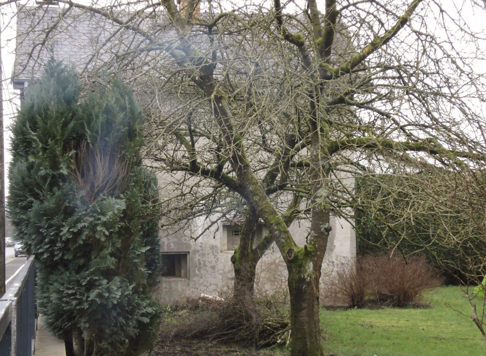 Ligne Maginot - MF8 - K - LA GREVE - (Poste GRM - Maison Forte) -  - R Tucker