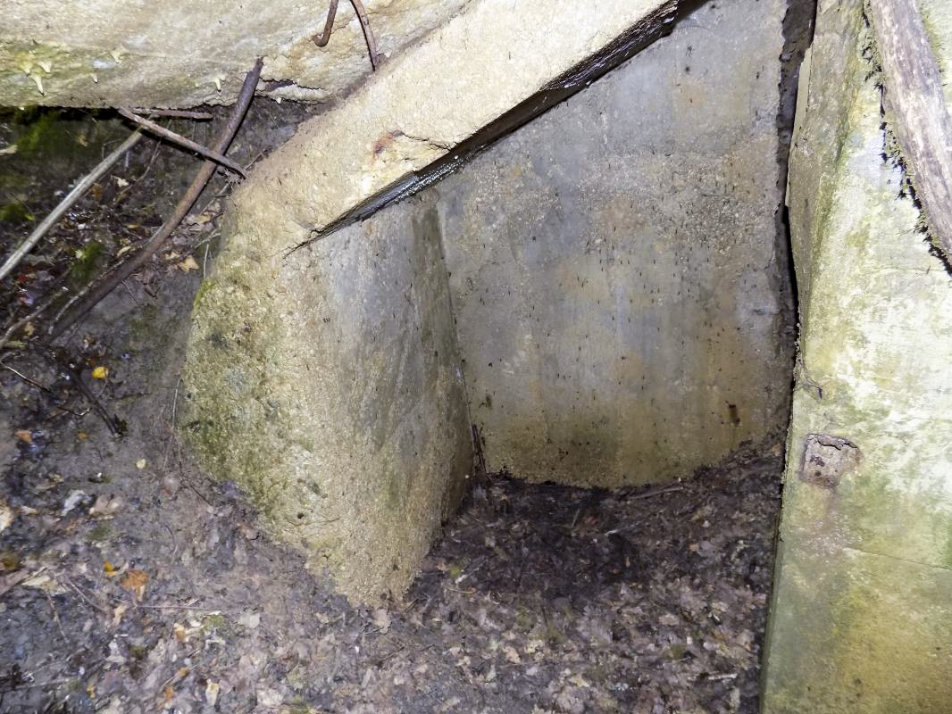 Ligne Maginot - 32A - SAINT OEUVRE - (Blockhaus pour canon) - Niche l’arrière gauche - R Tucker