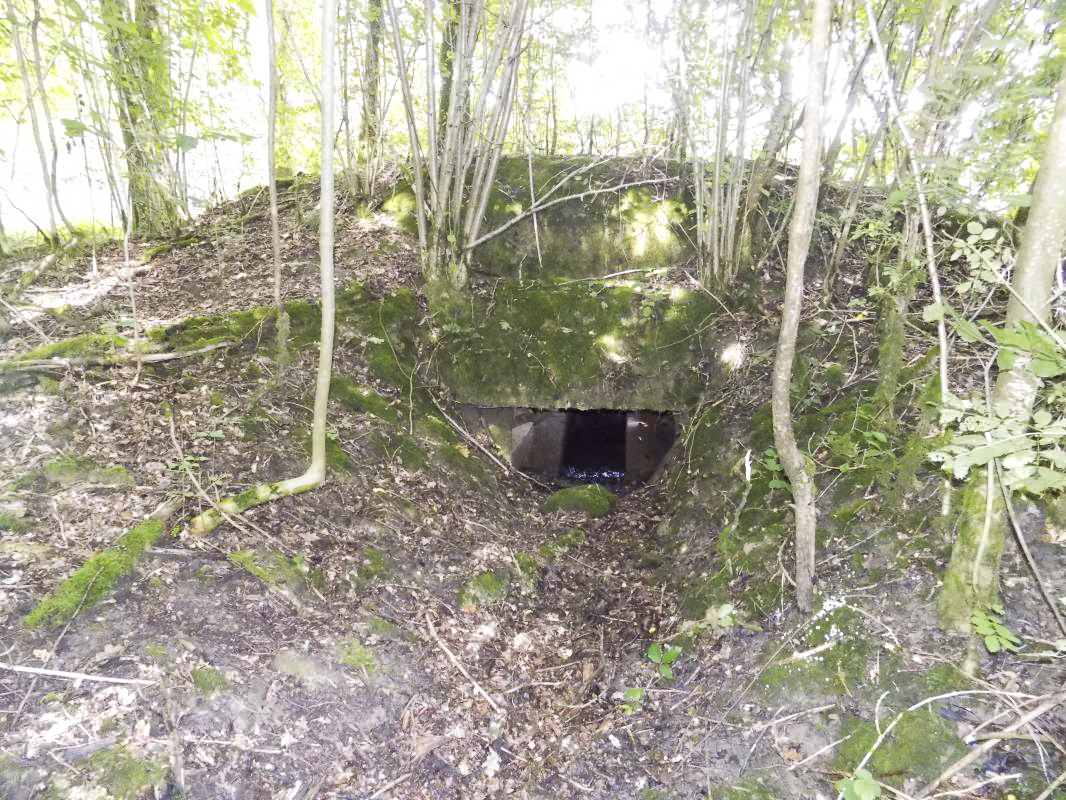 Ligne Maginot - 32A - SAINT OEUVRE - (Blockhaus pour canon) - L'arrière, l'entrée AC - R Tucker