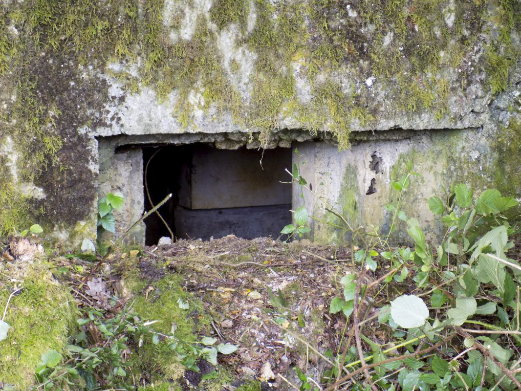 Ligne Maginot - 32A - SAINT OEUVRE - (Blockhaus pour canon) - Face frontale, créneau gauche (AC) - R Tucker