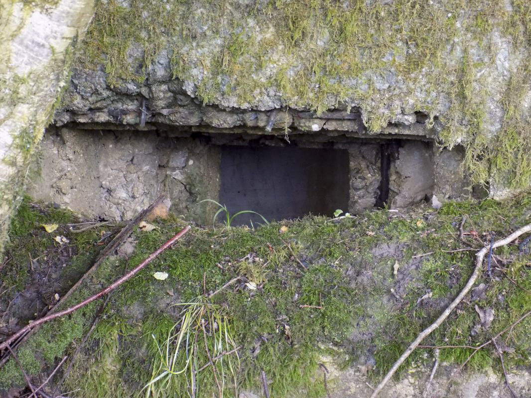 Ligne Maginot - 32A - SAINT OEUVRE - (Blockhaus pour canon) - Face frontale, créneau droite (Hotchkiss) - R Tucker