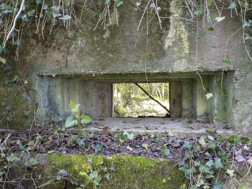 Ligne Maginot - 82BIS - LA NIVRAGNE NORD - (Blockhaus pour canon) - Face frontale, créneau AC - R Tucker