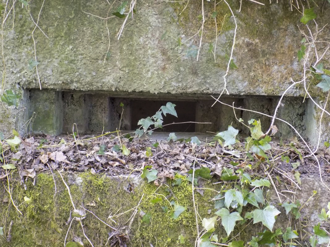 Ligne Maginot - 82BIS - LA NIVRAGNE NORD - (Blockhaus pour canon) - Face frontale, créneau Hotchkiss - R Tucker