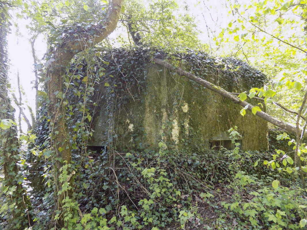 Ligne Maginot - 82BIS - LA NIVRAGNE NORD - (Blockhaus pour canon) - Face gauche frontale et gauche arrière - R Tucker