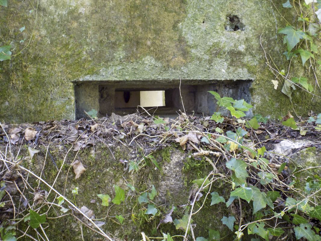 Ligne Maginot - 82BIS - LA NIVRAGNE NORD - (Blockhaus pour canon) - Face gauche frontale créneau FM - R Tucker