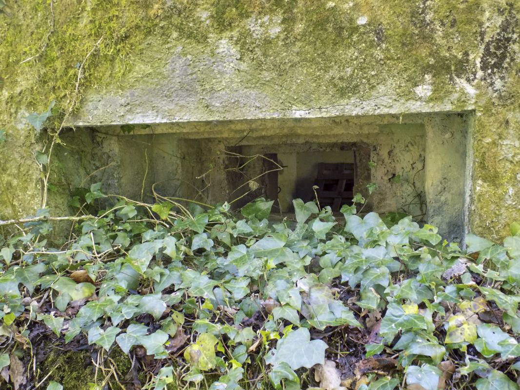 Ligne Maginot - 82BIS - LA NIVRAGNE NORD - (Blockhaus pour canon) - Face gauche/l'arrière créneau Hotchkiss - R Tucker
